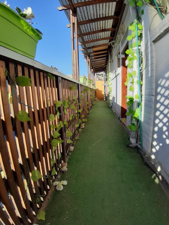 Star Guest- House Hotell Or Yehuda Exteriör bild
